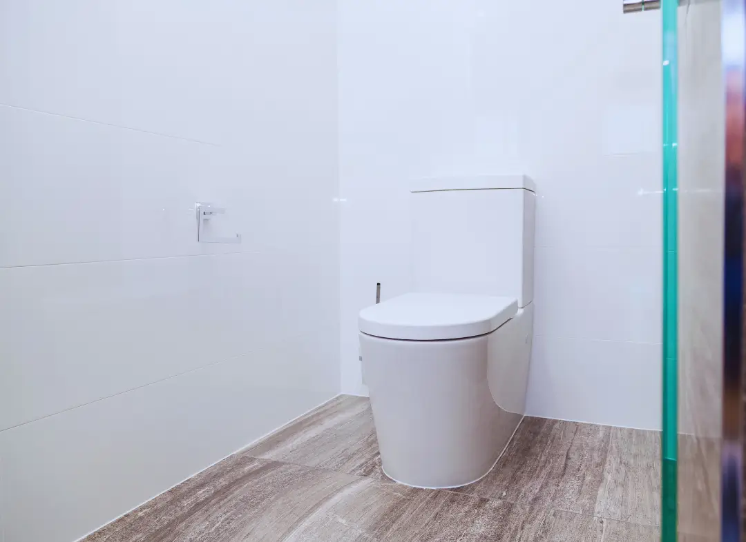 Remplacement de wc Wasselonne